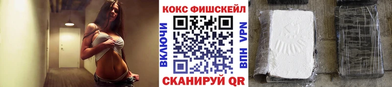 купить наркотики сайты  Ачхой-Мартан  COCAIN Fish Scale 